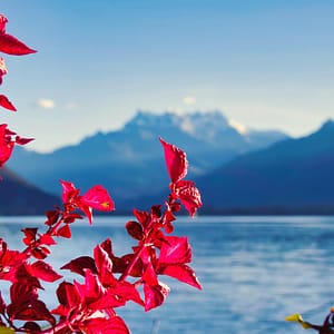 Custom Switzerland Trip – Highlights & Lakes